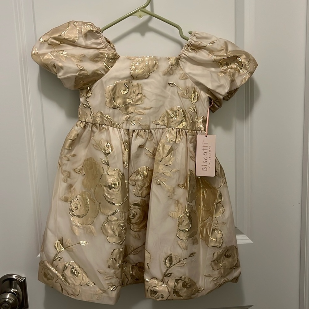 Biscotti Collezioni girls sz 6 dress! Gold champagne